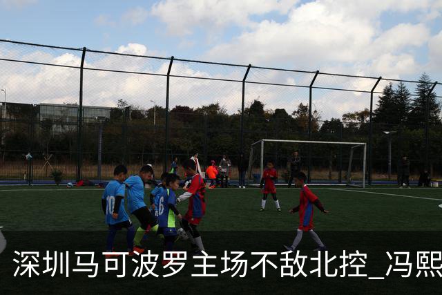 深圳马可波罗主场不敌北控 冯熙瑞逆境打出亮眼表现